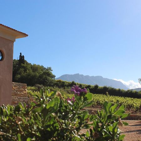 La Bastide - Le Grenache - Le Syrah Au Domaine Chateau Henri Bonnaud Le Tholonet Zewnętrze zdjęcie