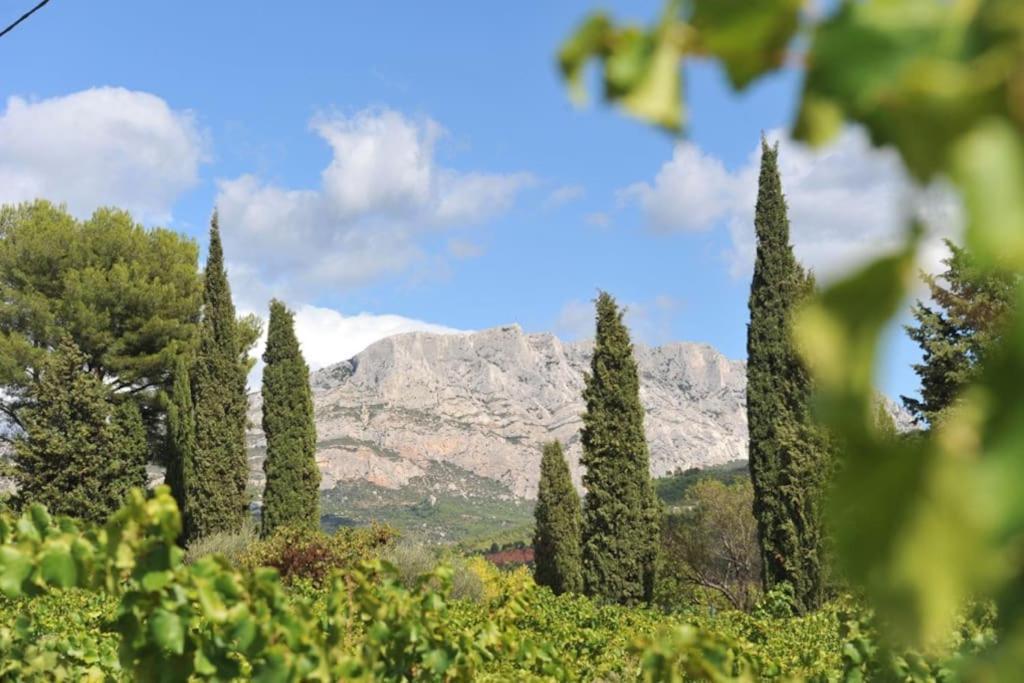 La Bastide - Le Grenache - Le Syrah Au Domaine Chateau Henri Bonnaud Le Tholonet Zewnętrze zdjęcie