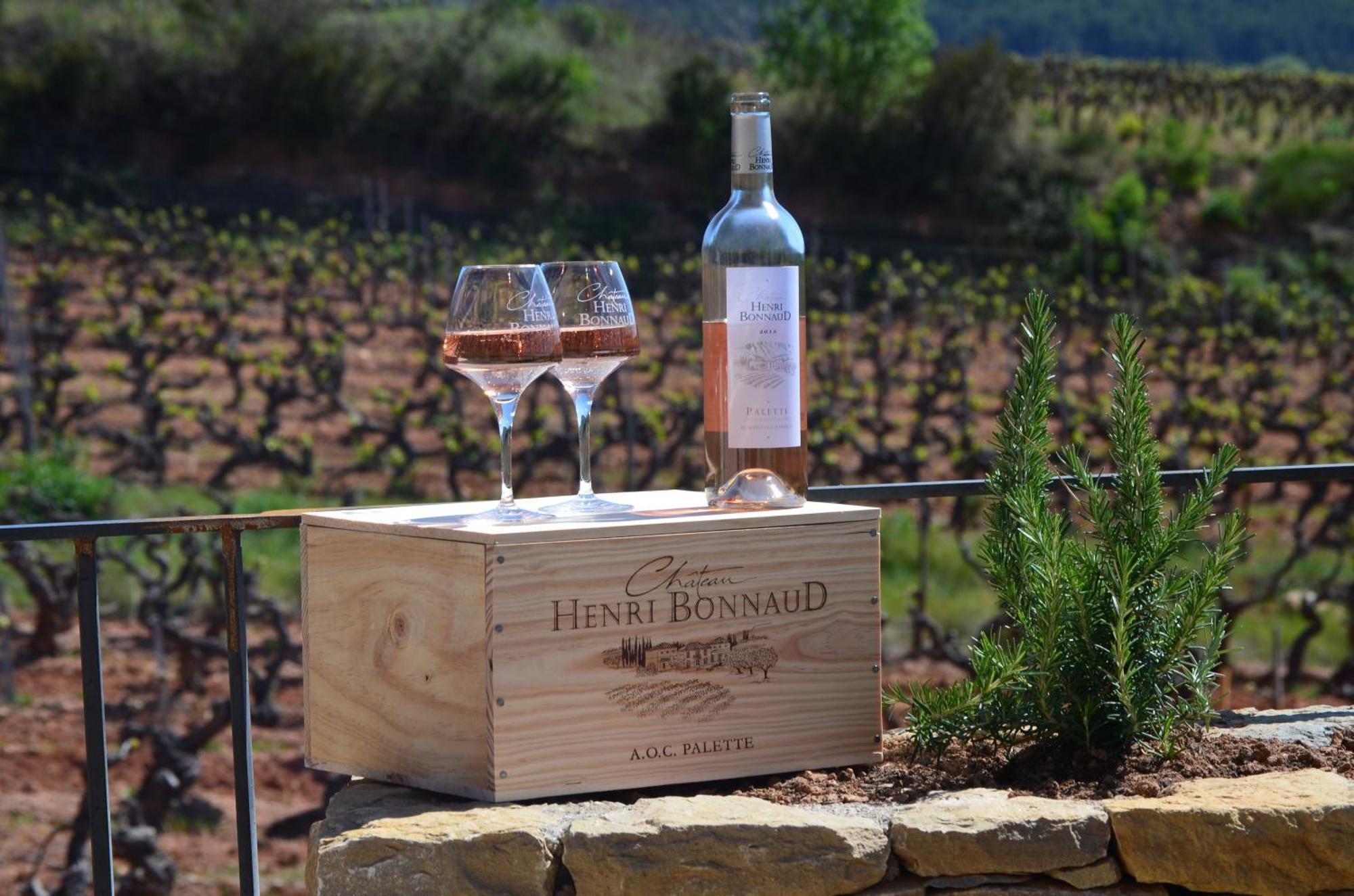 La Bastide - Le Grenache - Le Syrah Au Domaine Chateau Henri Bonnaud Le Tholonet Zewnętrze zdjęcie